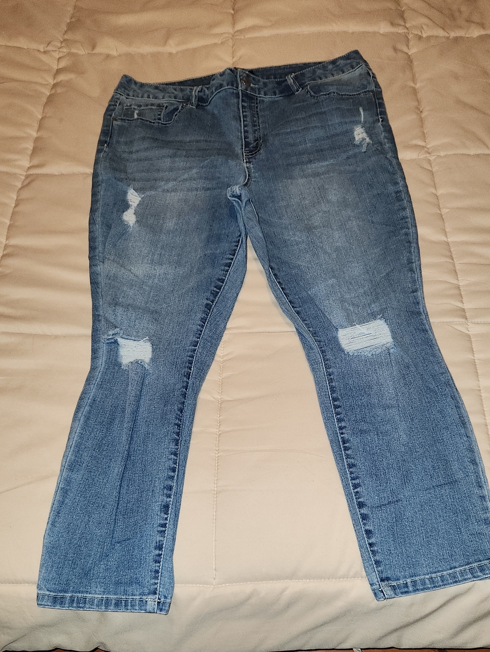 d. jeans Straight Leg Distressed Blue Women's Jeans